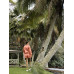 Шорты ROXY Locals Only Fusion Coral Шорты ROXY Locals Only Fusion Coral